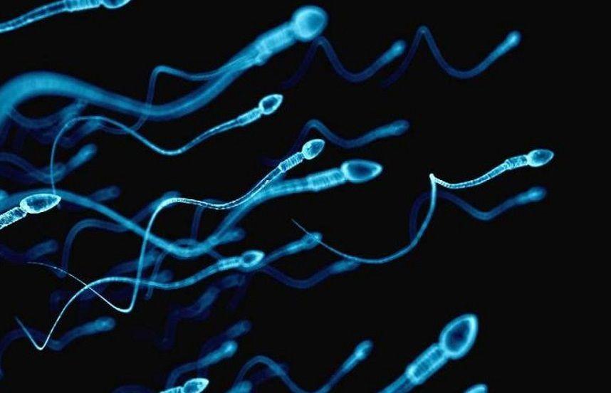 Estudio halla COVID-19 en el semen de pacientes