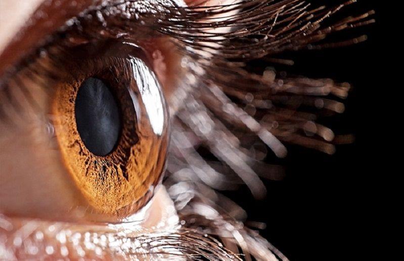 Hallan receptores de entrada del virus de COVID-19 en la superficie ocular