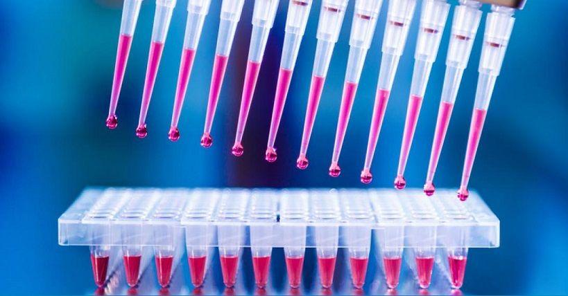 COVID-19: La provincia informa que la única prueba válida que determina nuevos casos es el PCR