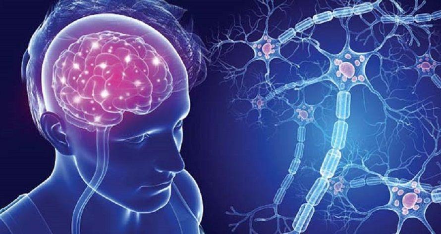 Esclerosis Múltiple: la importancia de las conexiones durante la pandemia