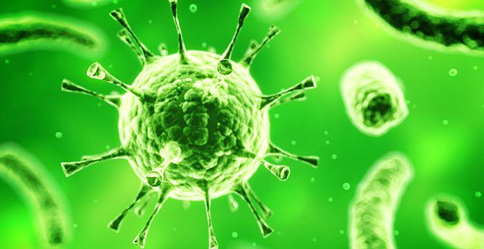 “Ola conservadora” y oposición a un “gobierno mundial”