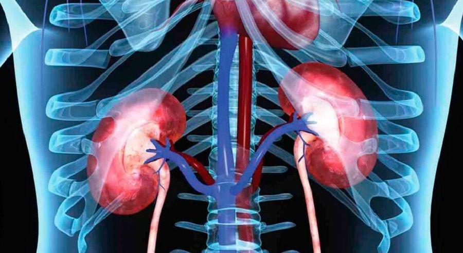 ´Tenemos que hablar´ Campaña para generar conversación sobre el cáncer renal