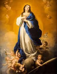 ¡¡¡Ricky Martin compara a la Virgen María con un vientre de alquiler!!!