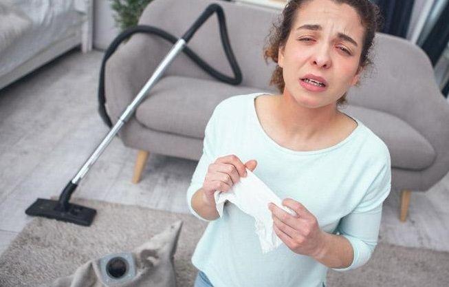 Descubren cómo el polvo del hogar provoca alergia, lo que ayudará a desarrollar nuevos tratamientos
