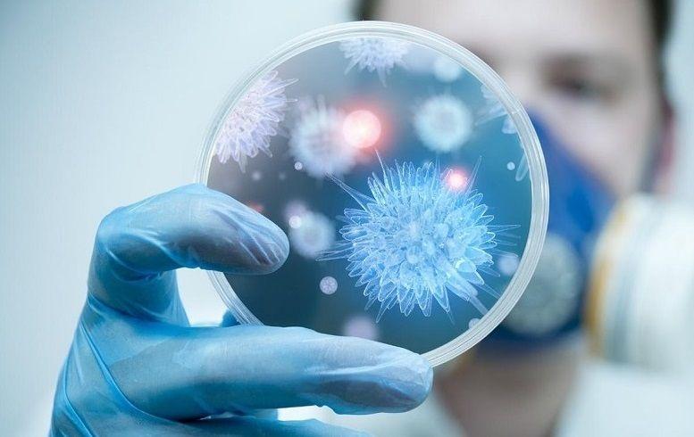 OMS: Ninguna vacuna que se investiga contra el COVID-19 está suficientemente avanzada