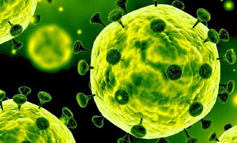 Estudio con hurones prueba que el coronavirus se transmite por el aire