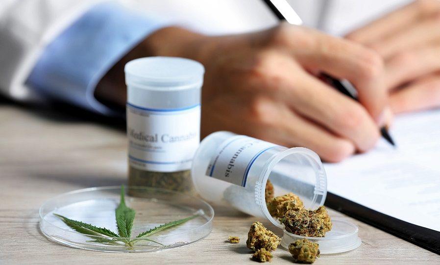 Consensúan los principales aspectos para la nueva reglamentación del uso medicinal de cannabis