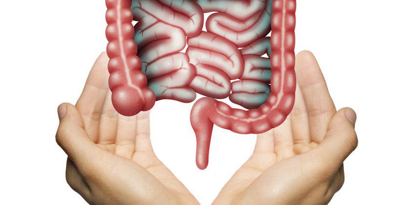 En Argentina hallan los factores moleculares que anticipan la respuesta en cáncer de recto