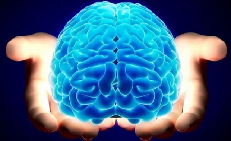 La bulimia podría relacionarse con anomalías en algunas áreas cerebrales
