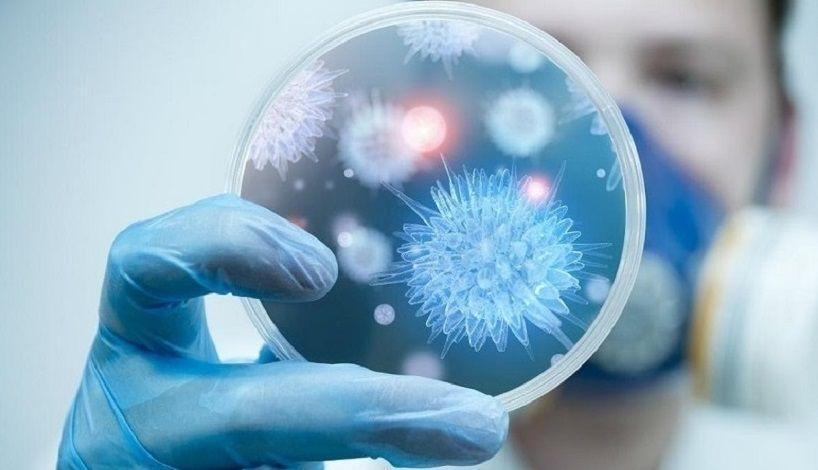 Secuencian más de 400 genomas de coronavirus en distintas partes del país