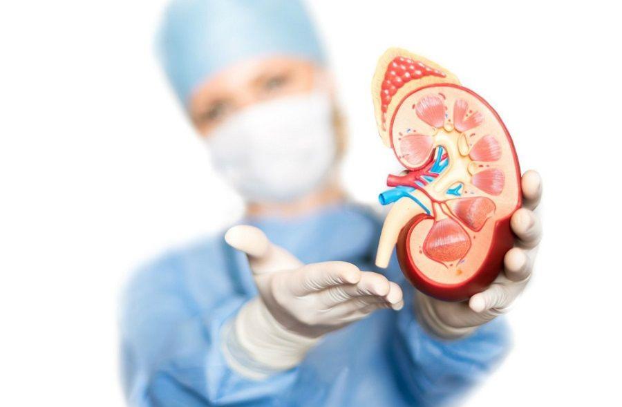 Lo que hay que saber sobre la enfermedad de los riñones causada por la diabetes