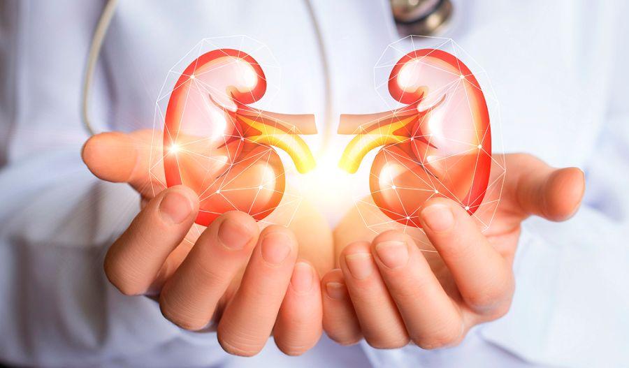 El hospital de Niños de La Plata realizó dos trasplantes renales