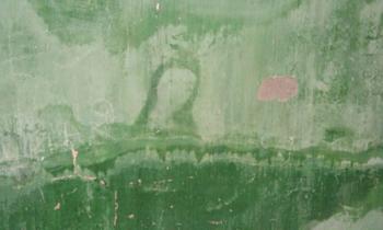 Apareció imagen de la virgen en una vivienda de bell vill