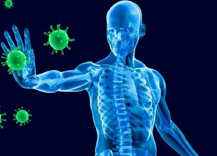 Sistema inmunitario, el ejército interno que nos protege de los virus