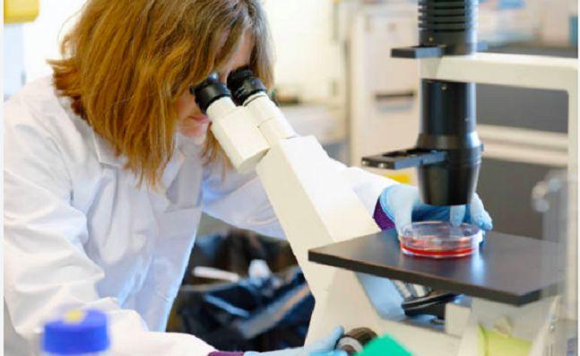 ¨Muchas veces las infecciones causadas por hongos no son sospechadas¨