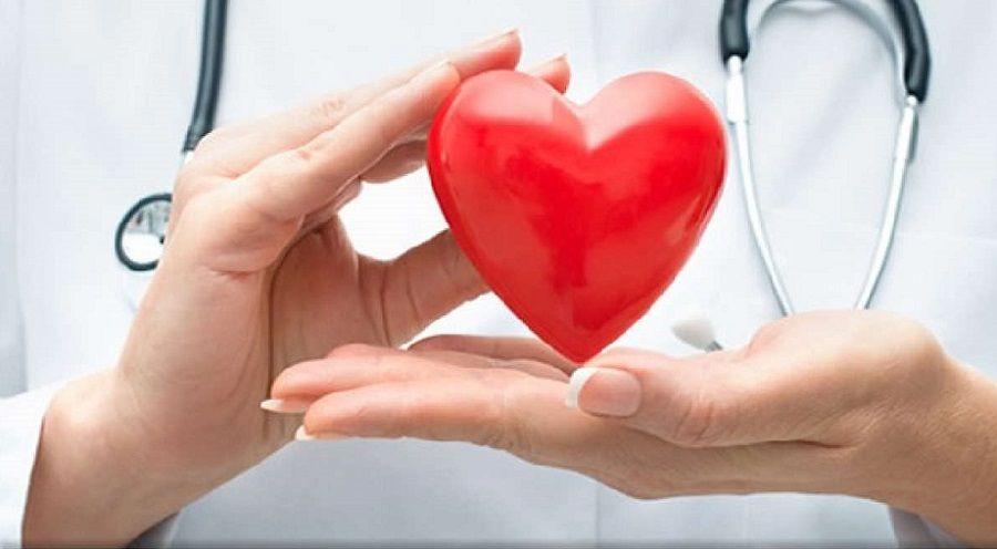 El corazón no espera: consejos claves para prevenir enfermedades cardiovasculares