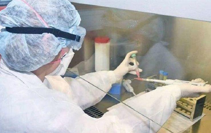 Los anticuerpos contra el SARS-CoV-2 no son eternos