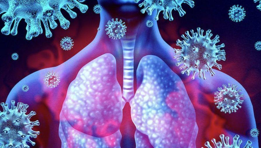 OMS: La COVID-19 podría dejar de ser pandemia y volverse endémica