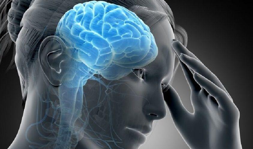 Ante la incertidumbre, el cerebro funciona como una poderosa máquina probabilística