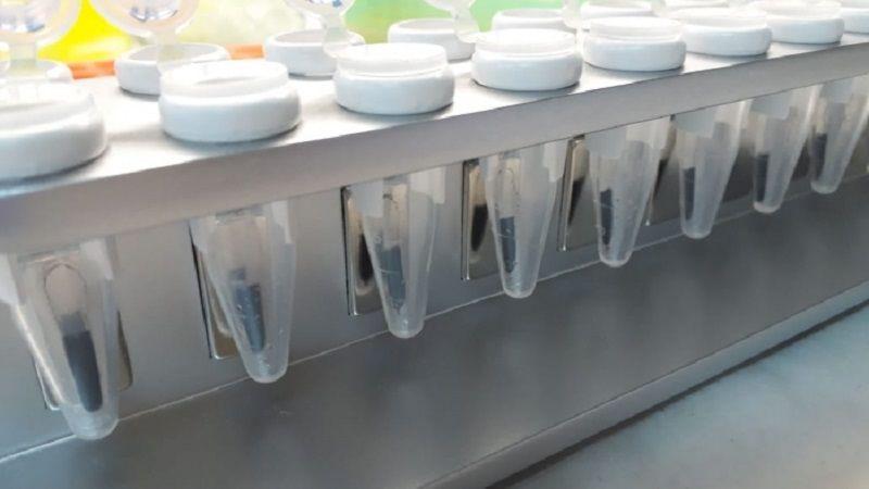 Producirán un kit de extracción rápida de ARN para el diagnóstico de COVID-19 con sello bonaerense