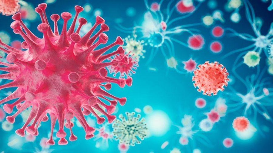 Si no entendemos su evolución, las bacterias serán las protagonistas de la próxima pandemia