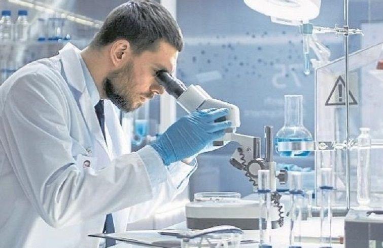 Fases que debe recorrer el desarrollo de una vacuna