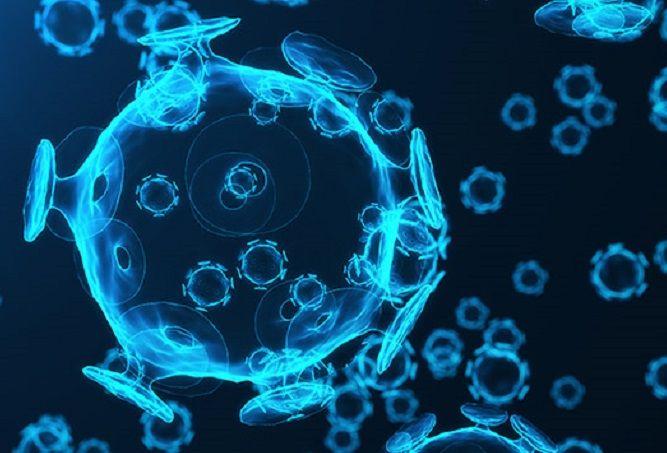 Estudian ¨fábricas virales¨ del agente causal de la bronquiolitis