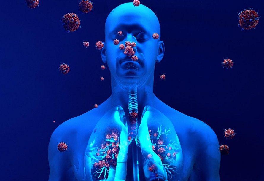 Según nuevo estudio la inmunidad a la COVID-19 podría durar desde años a décadas