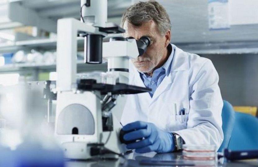 Identifican potencial blanco terapéutico de uno de los patógenos hospitalarios más críticos