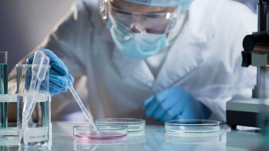 Coronavirus: El Malbrán encontró en Argentina una cepa con la variante de Río de Janeiro