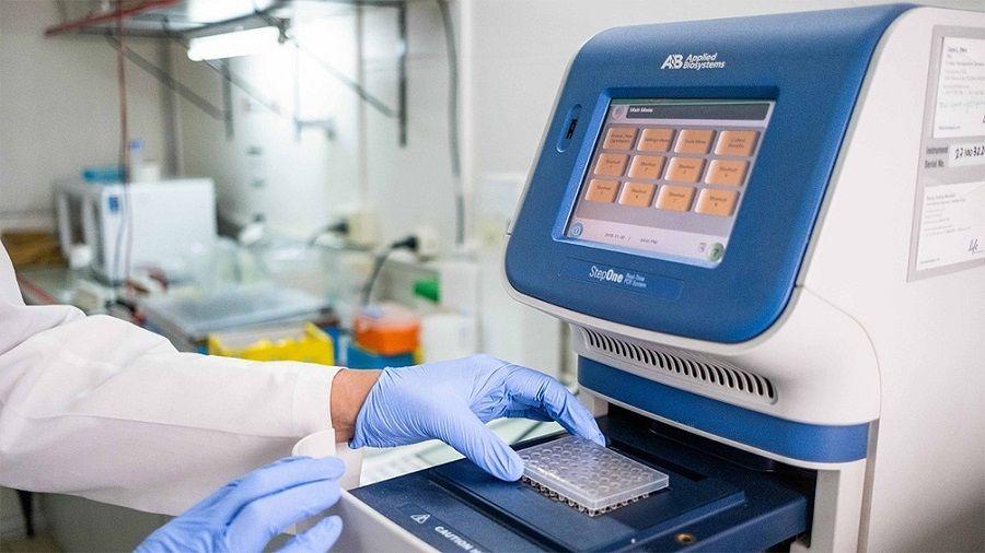 Descubren el rol clave de una proteína en el desarrollo de la septicemia que evitaría muertes