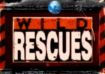 Rescate - 3