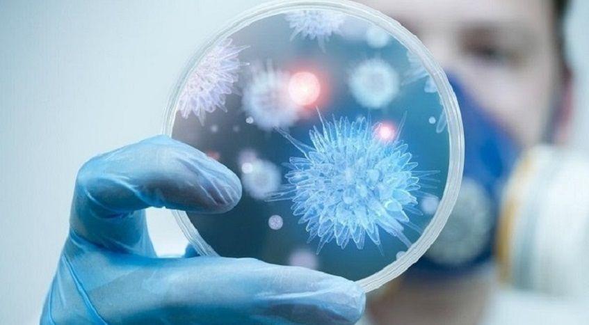 SARS-CoV-2: Aseguran que la variante británica no agrava el cuadro clínico