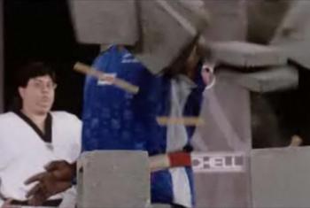 Artes marciales extremas