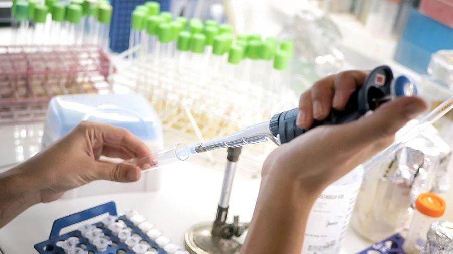 Investigadores respondieron a las recomendaciones de la SATI sobre el uso del suero equino