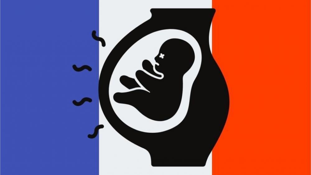 Francia: el Senado rechaza la ampliación del aborto