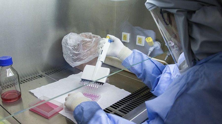Descubren que un método de diagnóstico de cáncer de mama sirve en otros tumores