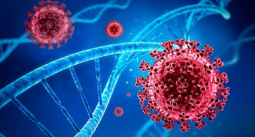 SARS-CoV-2: Confirman en el país las peligrosas cepas del Reino Unido, Manaos y Río