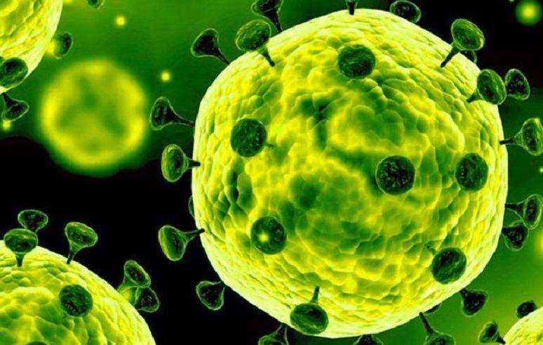 El SARS-CoV-2 se siente ¨particularmente atraído¨ por el grupo sanguíneo A