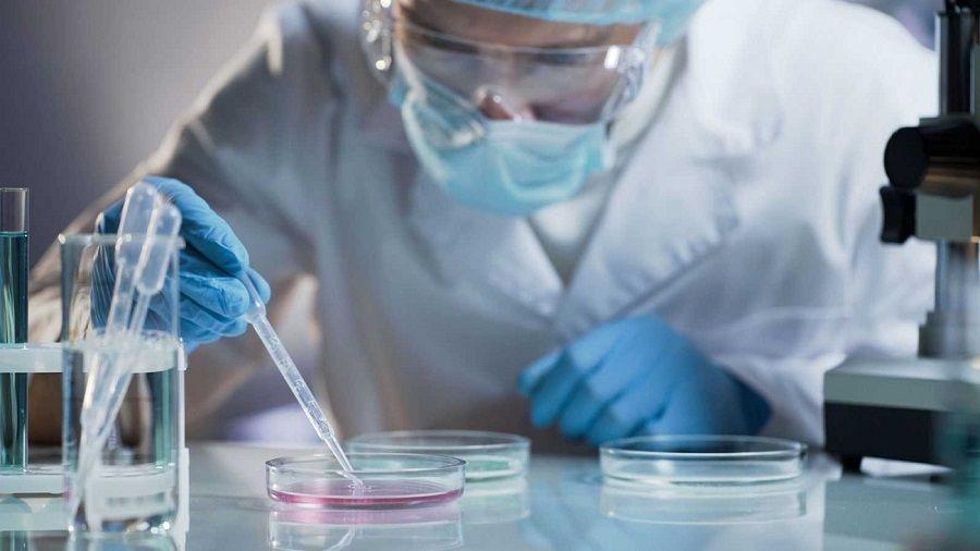 Nueva variante brasileña del virus SARS-CoV-2 enciende las luces de alerta
