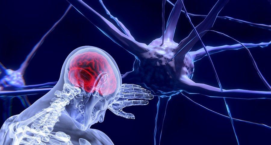 Describen mecanismo prometedor para amortiguar la respuesta inflamatoria en la esclerosis múltiple