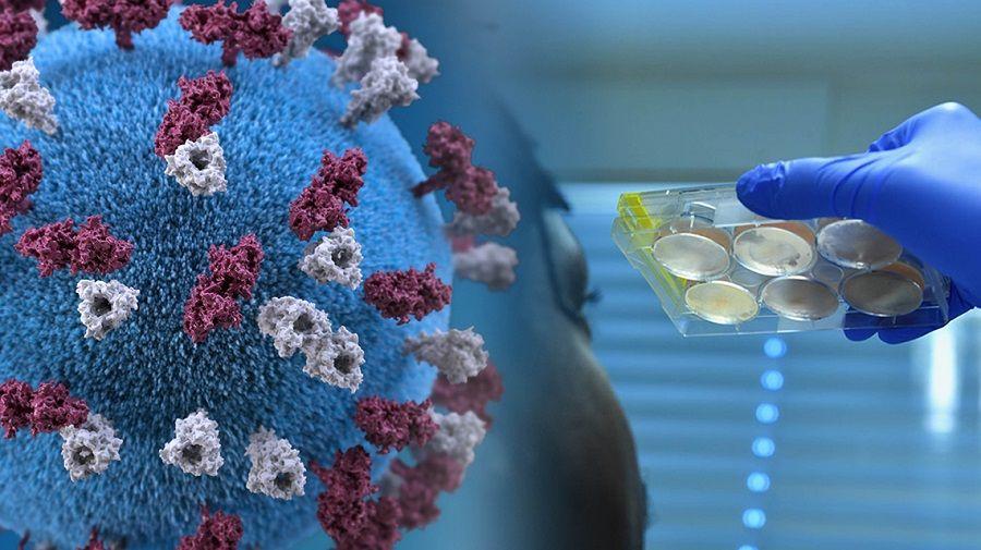 COVID-19: estudio muestra que una segunda infección es rara pero posible