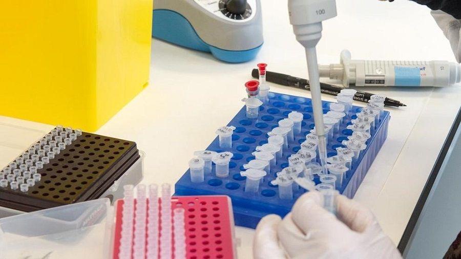 El testeo en grupo para COVID-19 permitiría ahorrar hasta el 86% de pruebas
