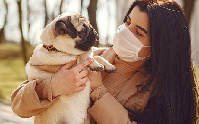 En Inglaterra advirtieron cuadros graves en perros y gatos por la variante británica