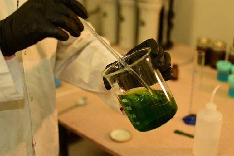 Empresa marplatense desarrolló plásticos que eliminan virus, bacterias y hongos