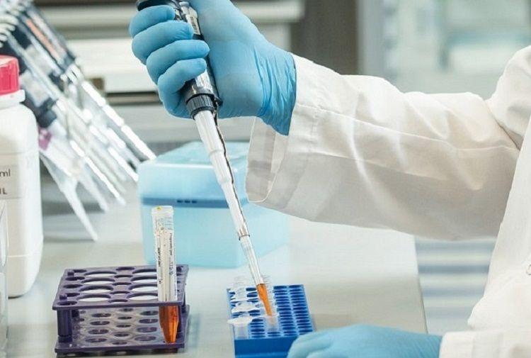 El ANLIS Malbrán desestimó la existencia de una ´cepa Buenos Aires´ de SARS-CoV-2