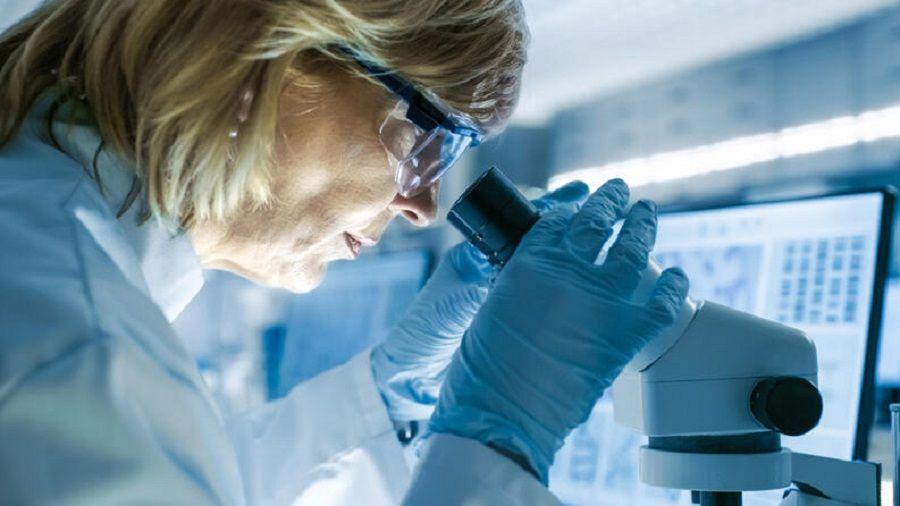 COVID-19: La detección precoz de Aspergillus podría ser clave para tratar pacientes graves