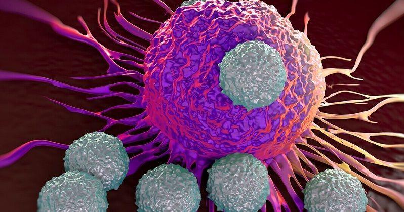 Método bioinformático anticipa la respuesta a la inmunoterapia en 14 tipos de cáncer