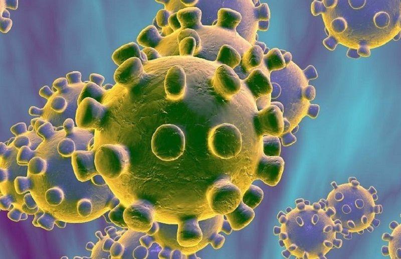 La OMS calificó como preocupante a la cepa de coronavirus descubierta en India