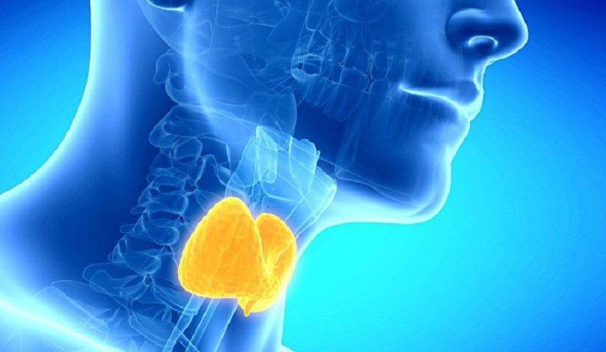 Los pacientes con trastornos de la tiroides no presentan mayores riesgos ante la COVID-19